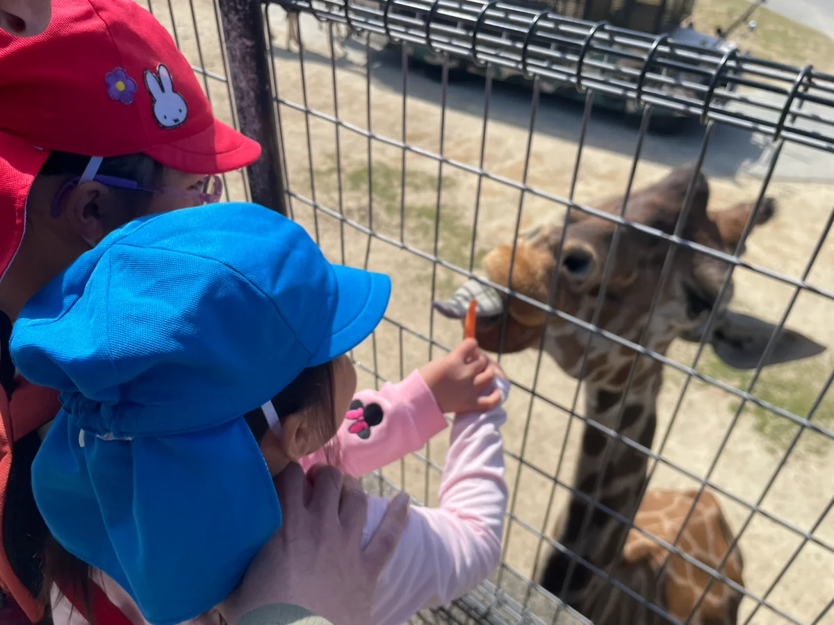 動物園へのお出かけ