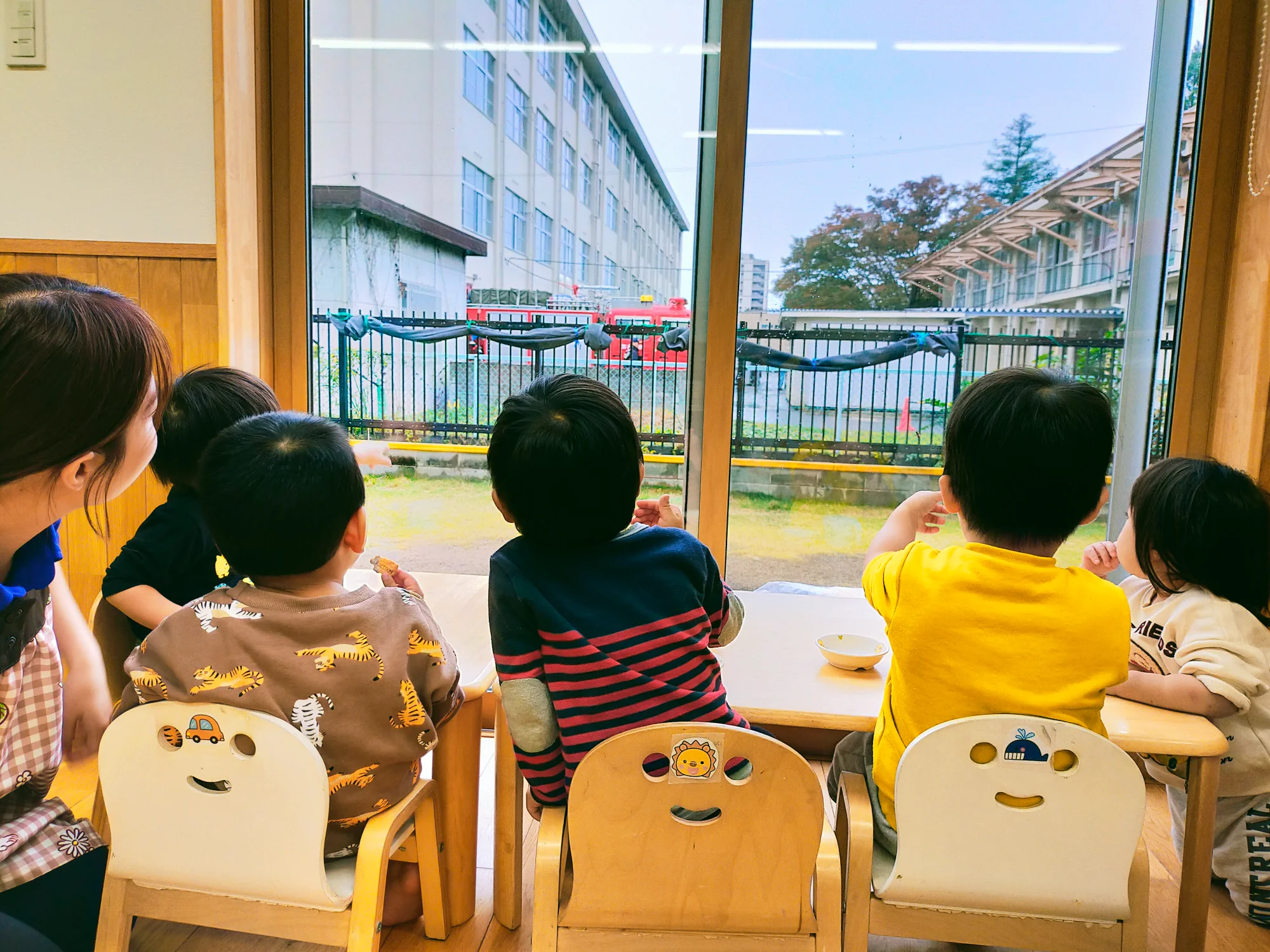 室内からの眺め