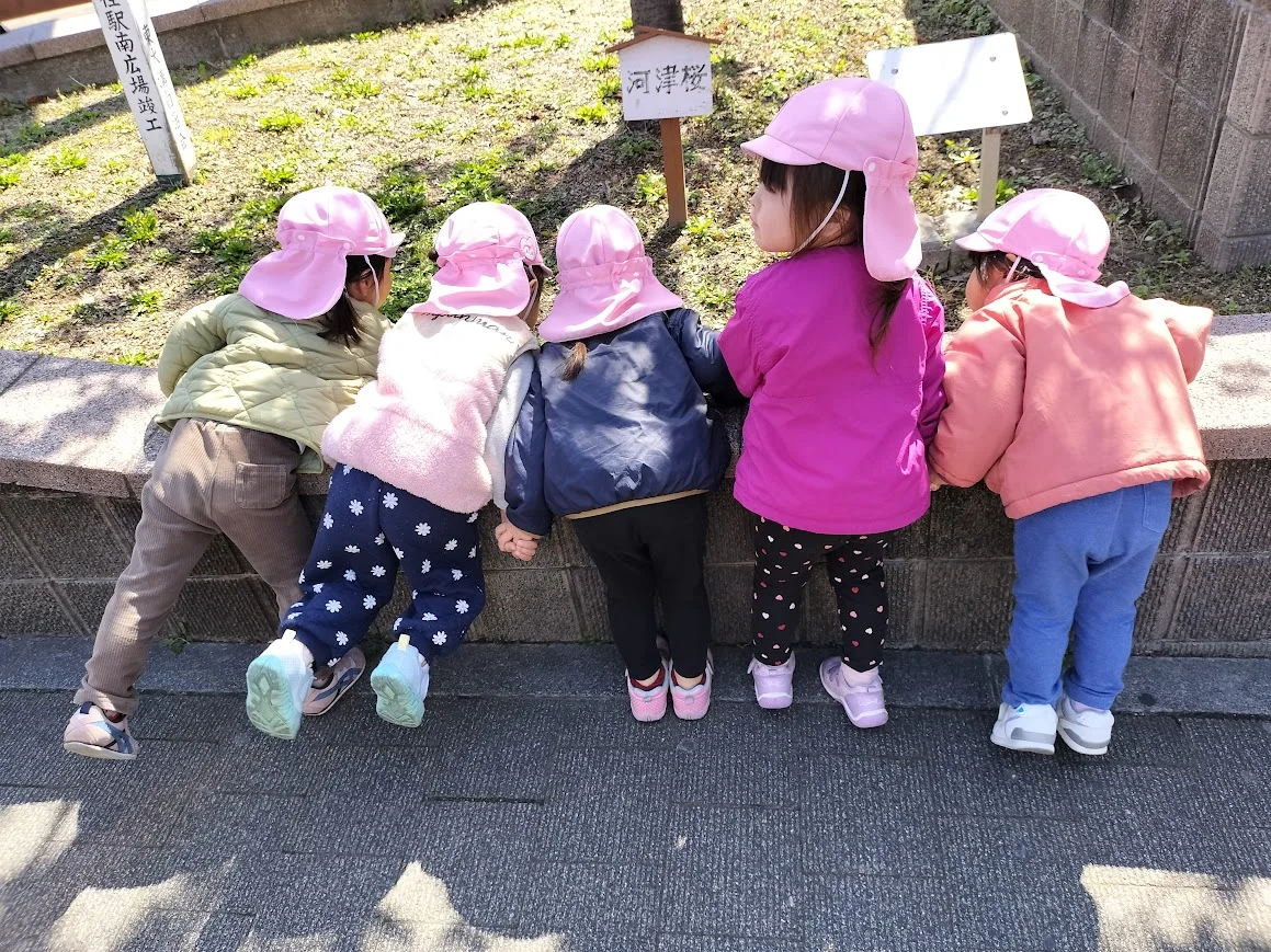 お散歩での発見